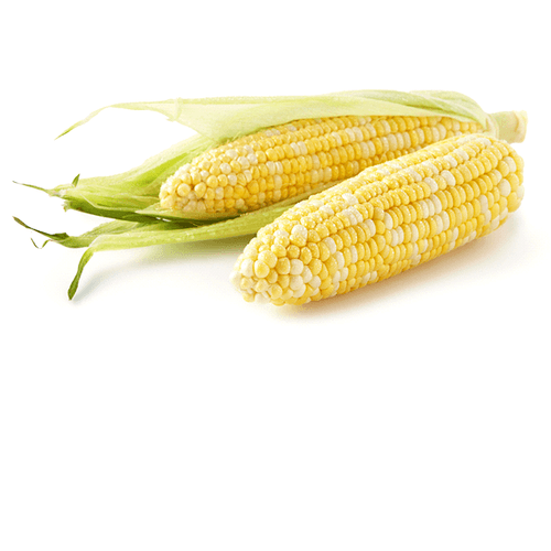 Sweet Corn