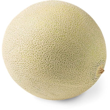 Cantaloupe Melon